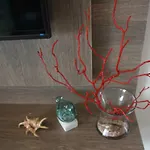 Résidence U Rapalinu